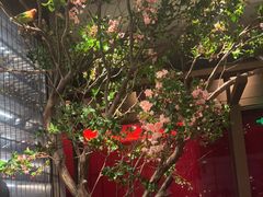 -星·South Beauty·俏江南(国贸店)