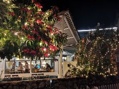 -大理老字号·舟渔的鱼野生菌海景餐厅(双廊店)