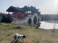 -上海海湾国家森林公园