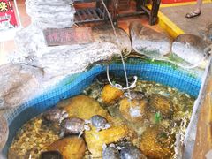 -御膳粥·牛乳粥底火锅·地道顺德菜(容桂店)
