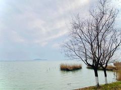 -香雪海