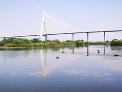 -芒洲湿地公园