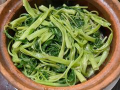 啫啫通菜梗-紫金食坊(江南西路店)