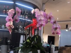 -花舍·新派粤菜·西餐·下午茶(亚运村·鸟巢店)