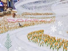 -广州热雪奇迹