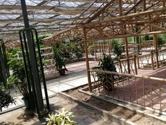 -万源龙顺度假庄园生态观光园