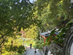 -乌山风景区