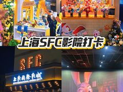 -SFC动漫主题影院(美罗城店)