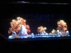 -郑州方特梦幻王国