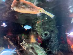 -沈阳海洋探索中心