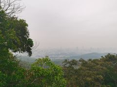 -广州市白云山风景名胜区