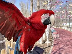 -水上乐园·欢乐世界