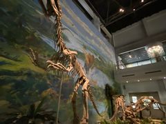 -自贡恐龙博物馆