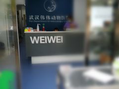 -伟伟宠物医院·CT影像中心·瑞派犬猫综合性门诊(汉口总院)