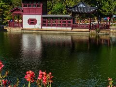 -和平公园