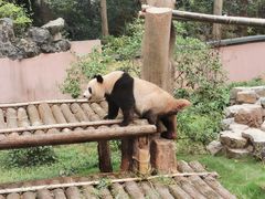 -杭州动物园