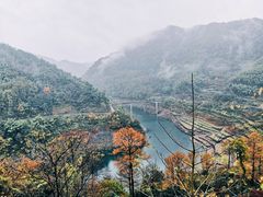 -四明山国家森林公园