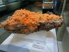 -湖南省地质博物馆