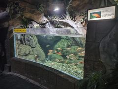 -苏州海洋馆