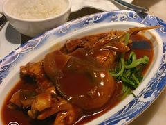 红烧河豚鱼-九朝会昆曲·宴(望京店)