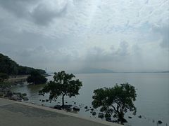 -深圳湾公园(南山区)