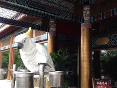 -那家小馆•北京菜•烤鸭(香山店)