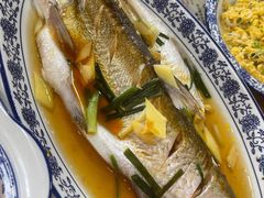 清蒸白水鱼-洞天食府(北大街店)