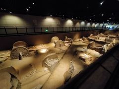 -洛阳周王城天子驾六博物馆