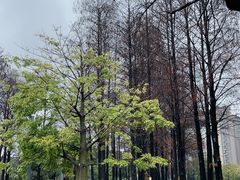 -四海公园(南山区)