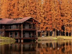 -黄海国家森林公园