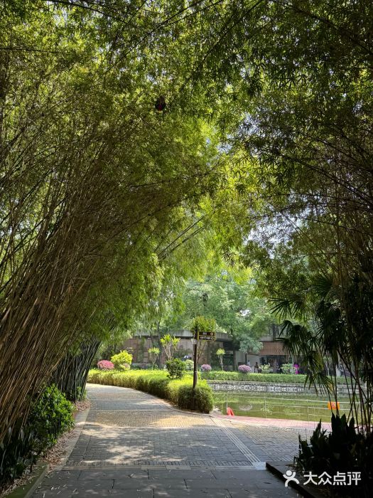 成都动物园图片