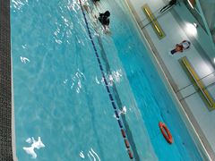 -上海潜殿潜水中心