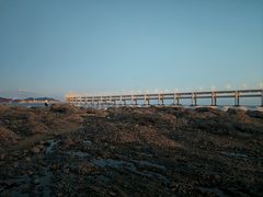 -星海湾跨海大桥