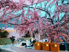 -花开餐厅(环湖中路店)