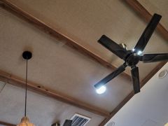 -牡丹广场薛栓子擀面皮大王