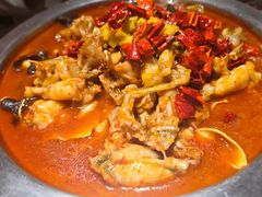 -美蛙四季(亦庄店)