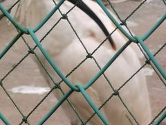 -下渚湖国家湿地公园科普馆