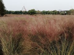 -艾溪湖湿地公园