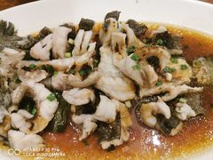 清蒸石斑鱼-顺风海鲜港(金玉兰店)