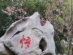 -枫桥景区