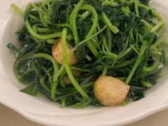 -利苑酒家(合景国际金融广场店)