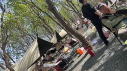 -268童话露营农场·烧烤·团建