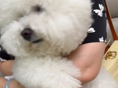 -美联众合动物医院·24h转诊中心