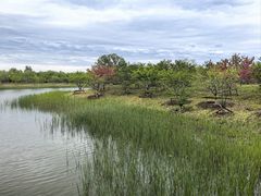 -张家湾公园