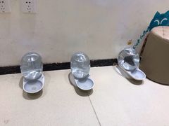 -藏猫猫咖啡主题馆(中央大道店)