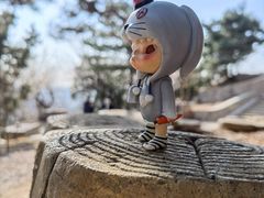 -北京西山国家森林公园