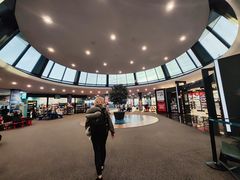 -纽瓦克自由国际机场