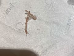 -仙雨林·奶茶鲜果茶(书院巷店)