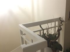 -Together·泰式按摩精油SPA(虹桥店)