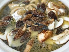 -蘑统田下·野生菌火锅